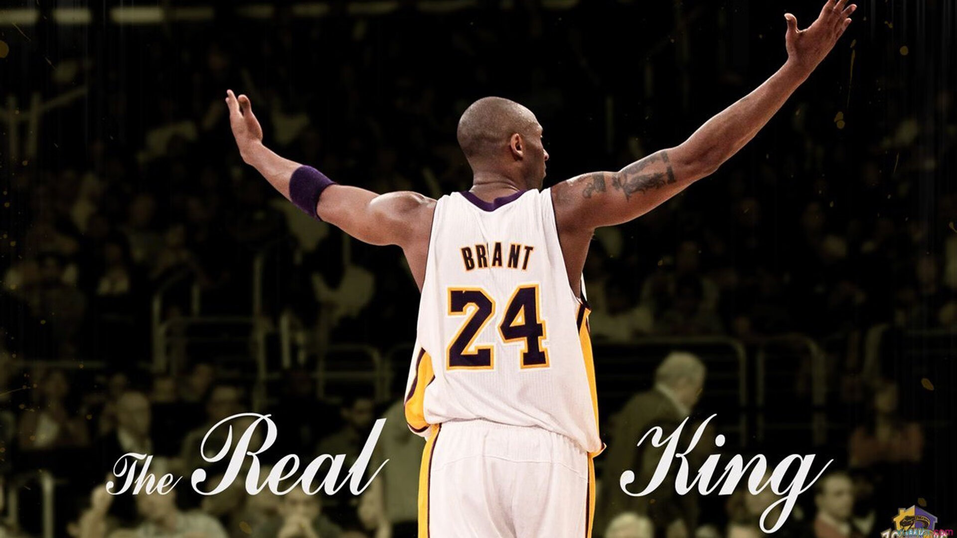 世界杯利好：国际球员加盟NBA带来新活力，参加世界杯的球队